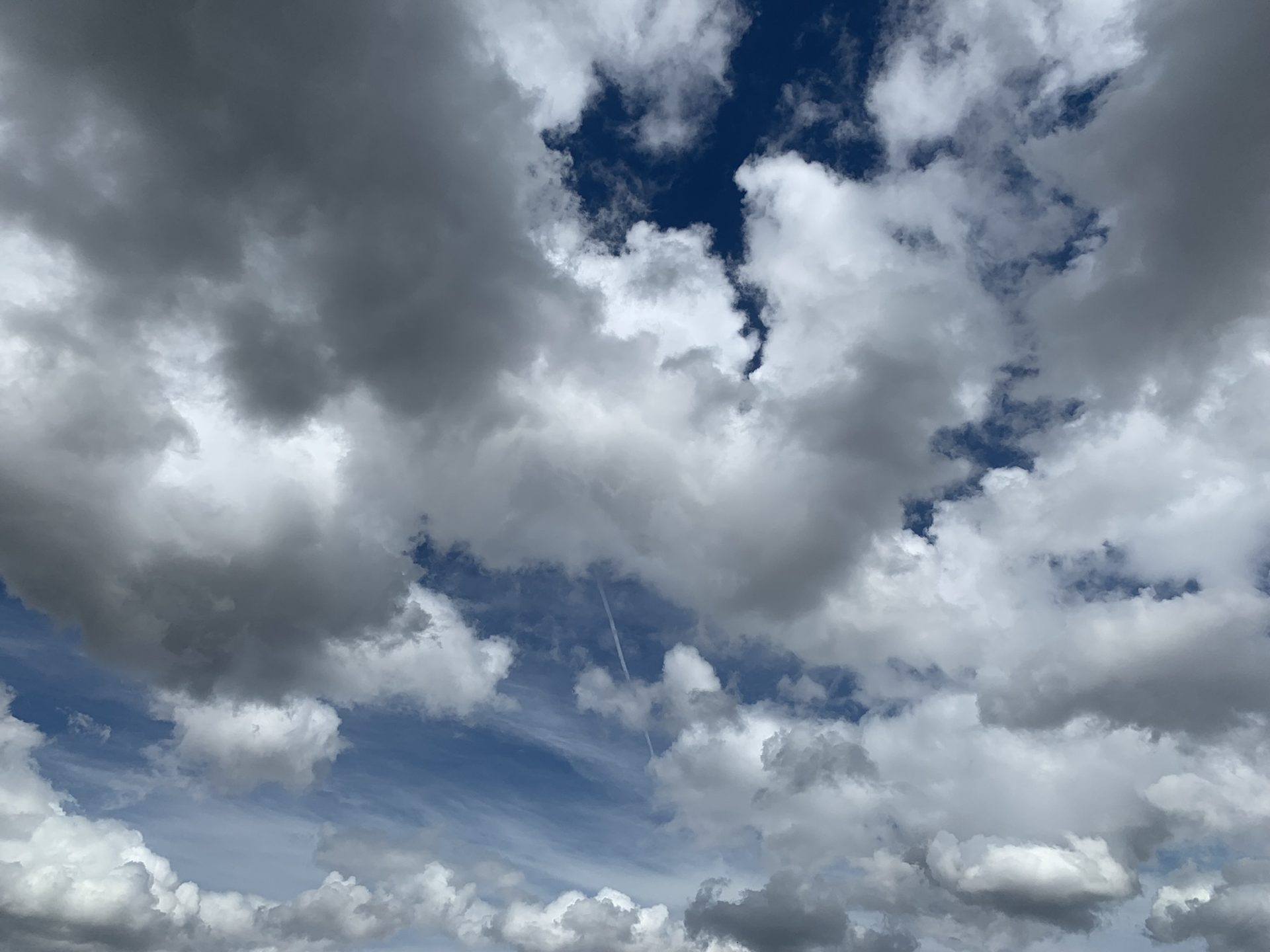 Open sky at dusk
